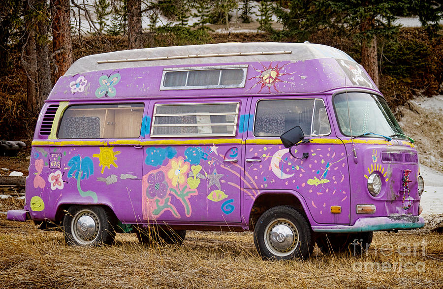 Magic Bus Photograph by James BO Insogna