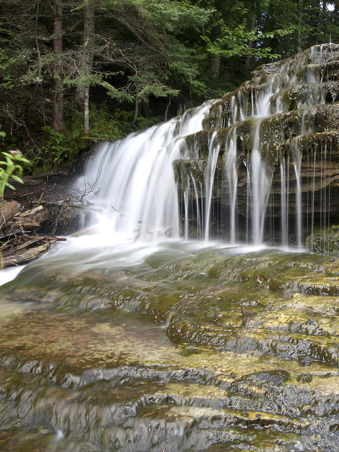 Magical Forest Falls Photograph by Cindy Lindow - Fine Art America