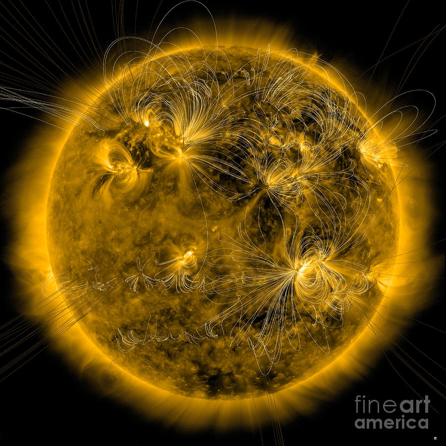 suns magnetic field
