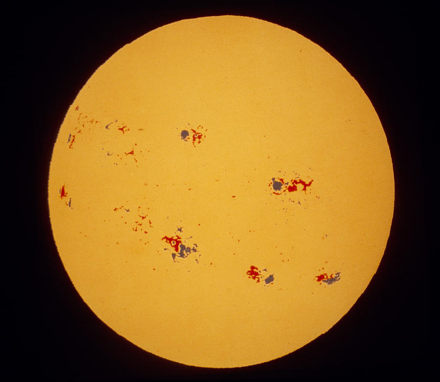 Sunspot Photograph - Magnetogram Of The Sun Showing Sunspot Pairs by Nasa