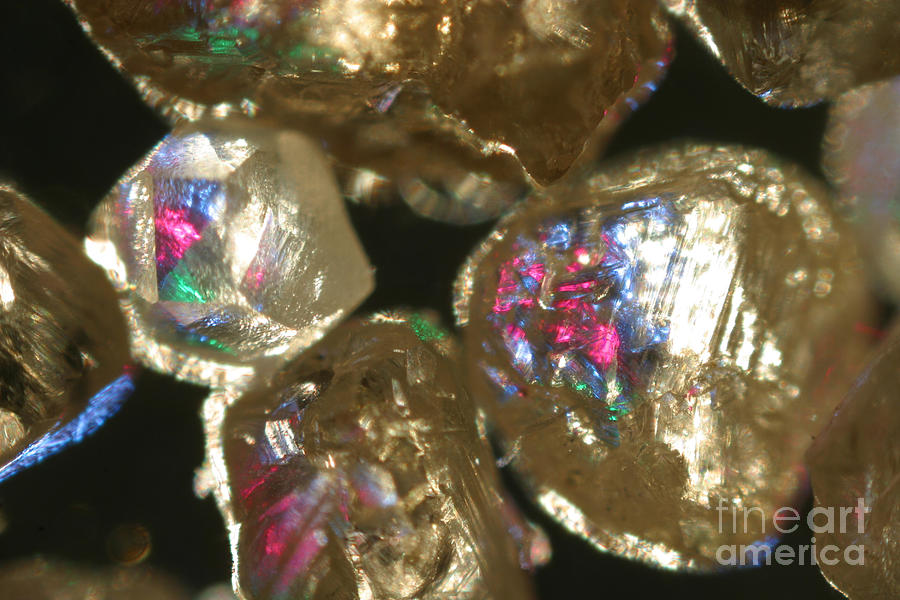 Magnified Raw Diamonds  by Ted Kinsman