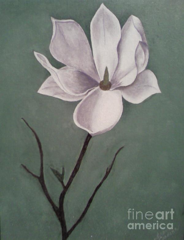 Magnolia Movie Painting - Magnolia by Irene Cardona