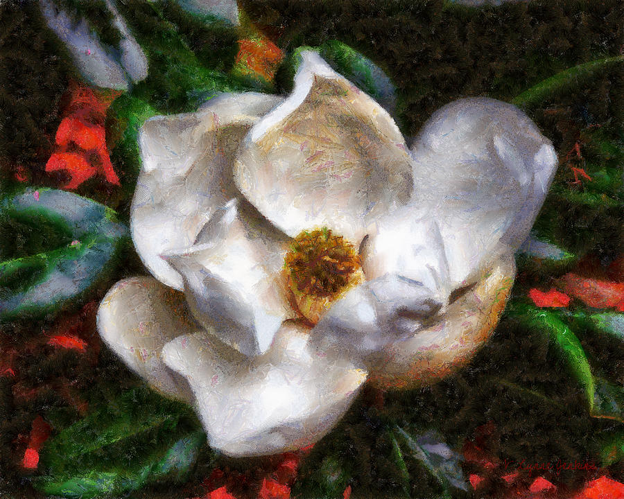 Magnolia Painting by Lynne Jenkins