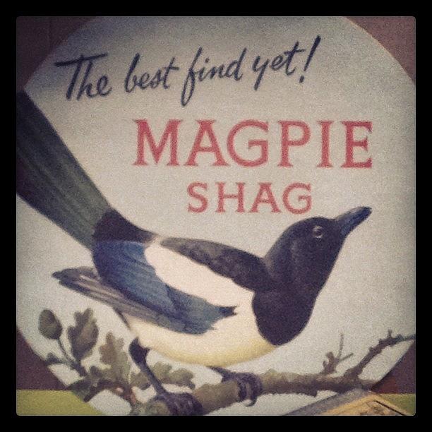 Sign Photograph - #magpieshag #sign by Ruaidhri Mcquade