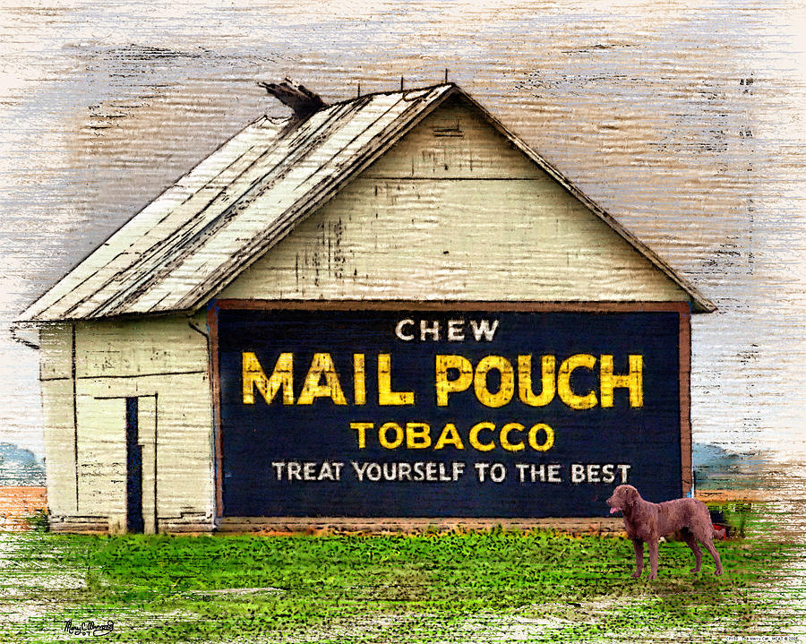 Mail Pouch Barn Digital Art by Mary Almond