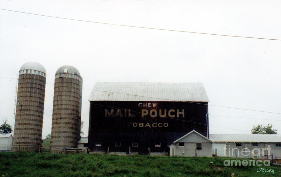 Mail Pouch Tobacco Ad on a Barn Photograph by Susan Stevens Crosby