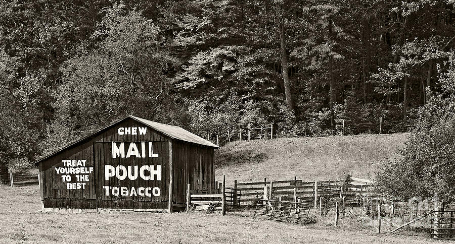 Mail Pouch Tobacco Barn in Black and White Photograph by Kathleen K Parker