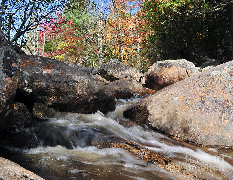 Fall Photograph - maine 29 Baxter State Park Trailside Stream by Terri Winkler