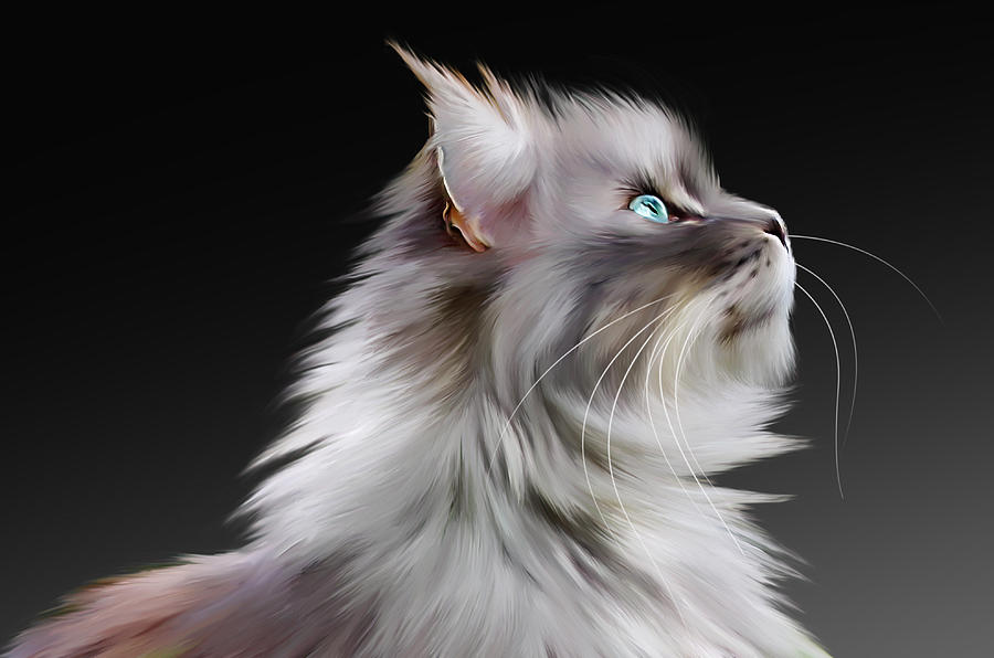 Cat Digital Art - Maine Coon by Julie L Hoddinott