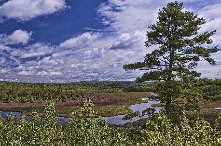 Maine Oxbow Photograph by Fran Gallogly