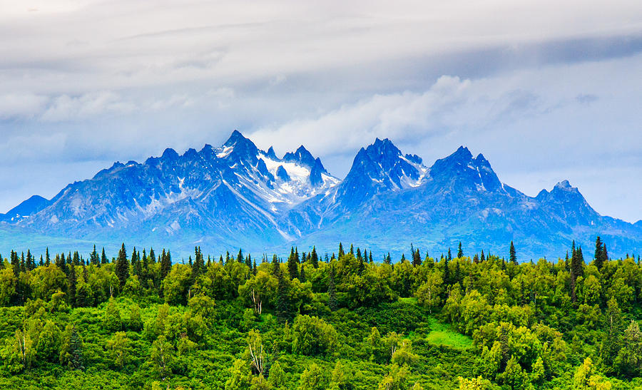 Majestic Alaska Mountains Photograph by Feng Wei Photography