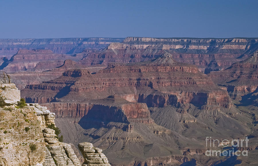 Majestic Grand Canyon Photograph by Tim Mulina