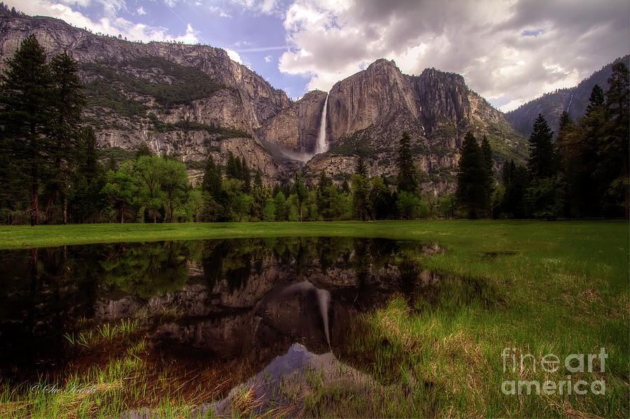 Majestic Reflections Photograph by Sue Karski