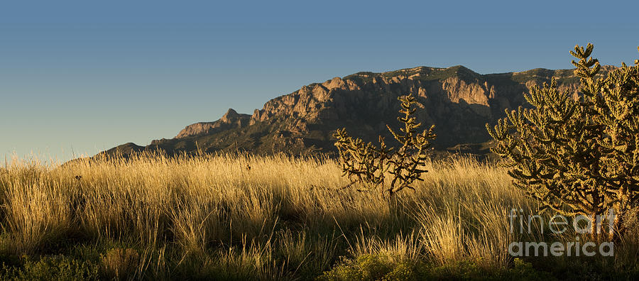 Majestic Sandia Mountains Photograph by Matt Tilghman