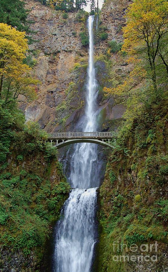 Portland Photograph - Majestic Waterfall by Anna Payne