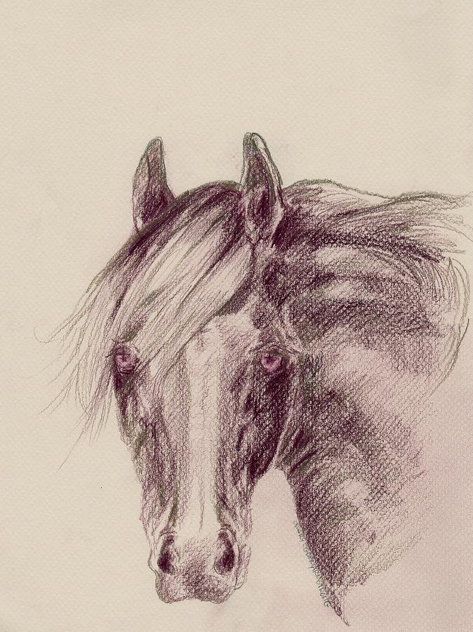 Major Drawing by Mary Armstrong