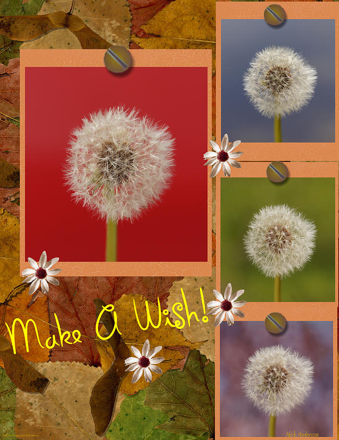 Make A Wish Photograph by Mick Anderson
