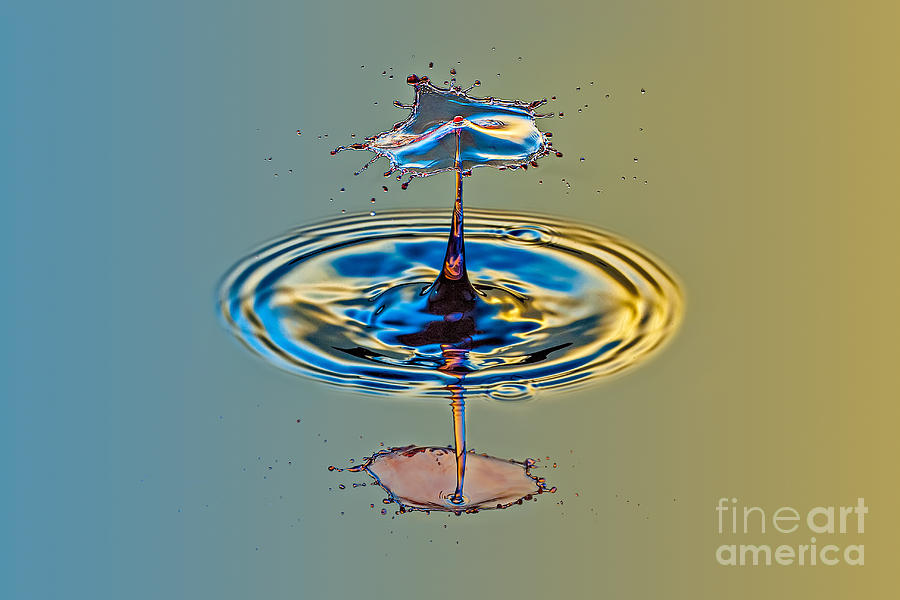 Water Drops Photograph - Making a Splash by Susan Candelario