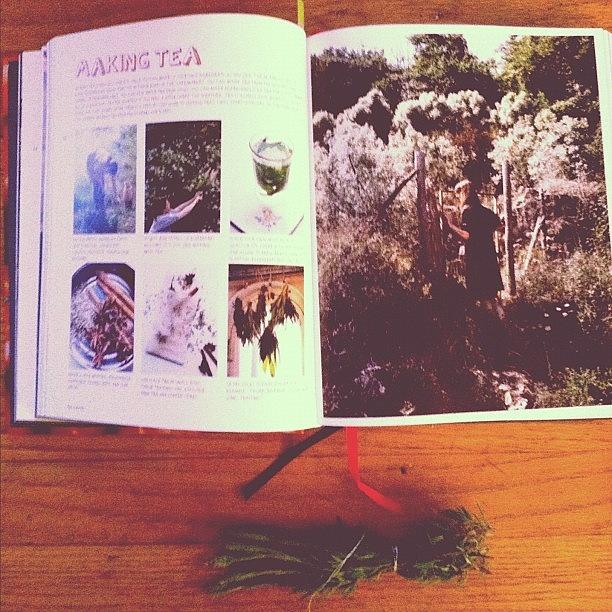 Tea Photograph - Making Tea. #book #tea #homemade by Allison Faulkner