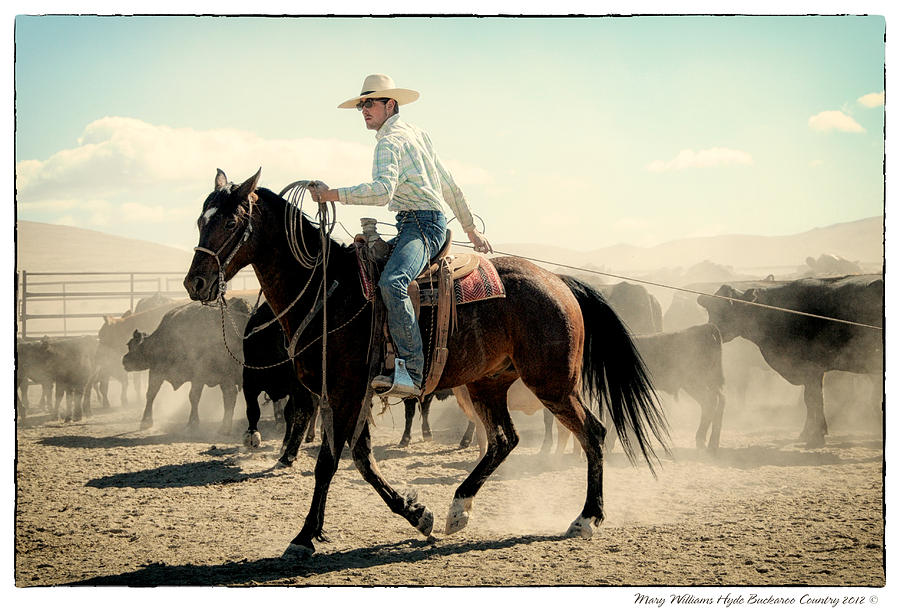 Malachi Mclain Photograph by Mary Williams Hyde - Fine Art America