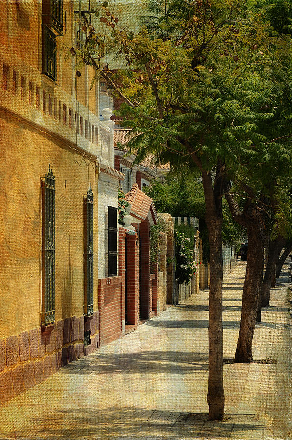 Malaga Street. Spain Photograph by Jenny Rainbow