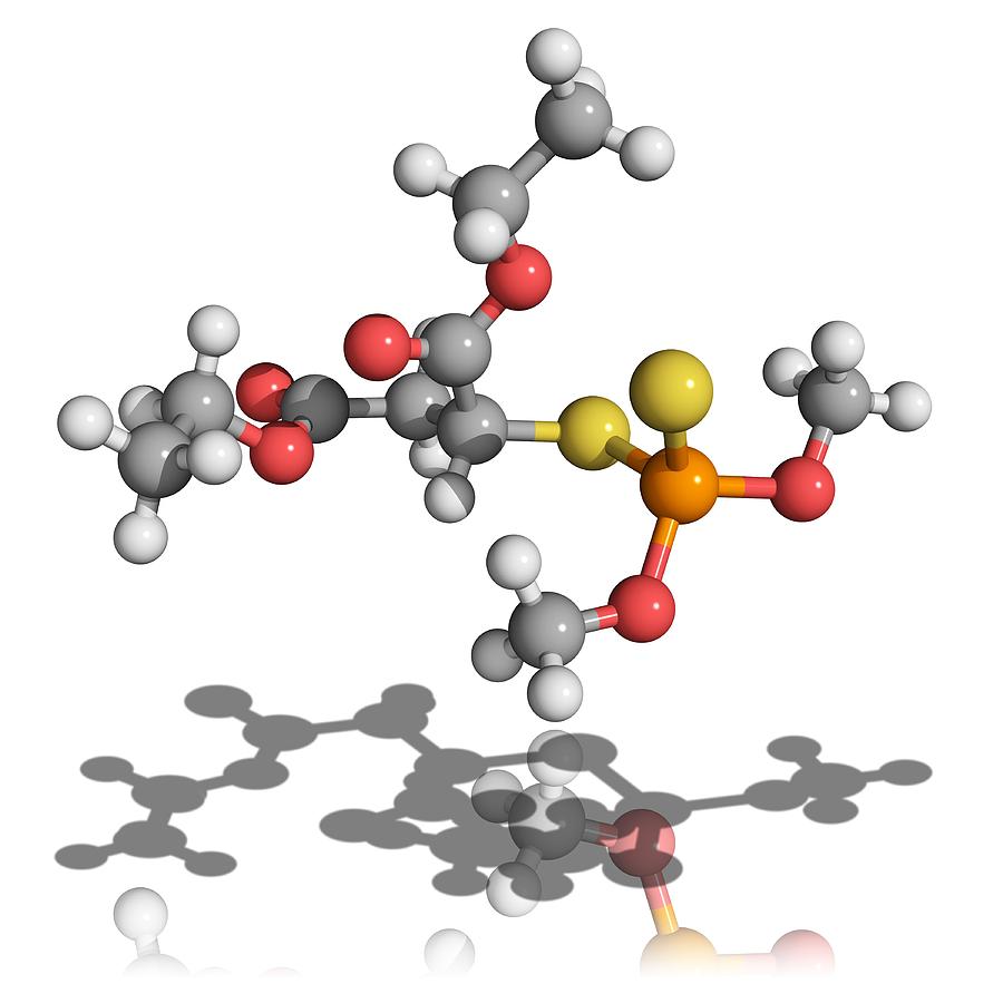 Molecular Photograph - Malathion Pesticide Molecule by Laguna Design
