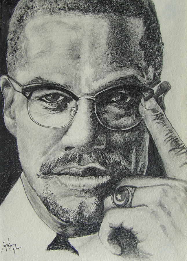 Malcolm X by Stephen Sookoo