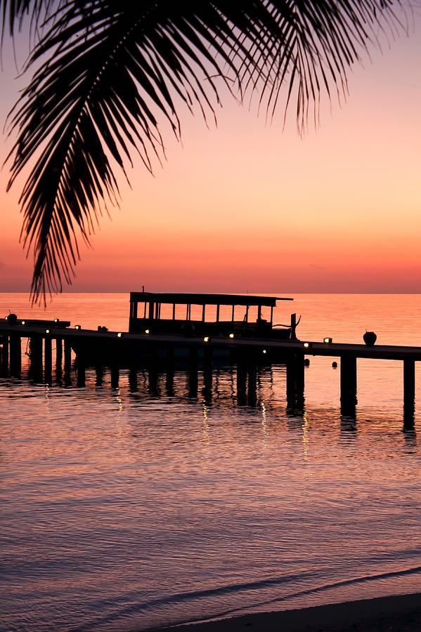 Maldives sunrise Photograph by Shirley Mitchell