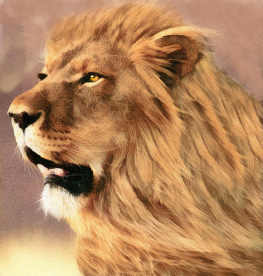 Male African Lion Digital Art by Walter Colvin
