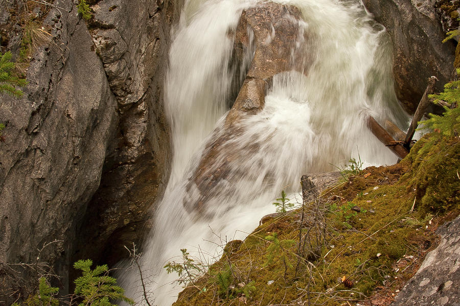 Maligne Falls Jasper National Park Canadian Rocky Mountains Photograph by Larry Darnell