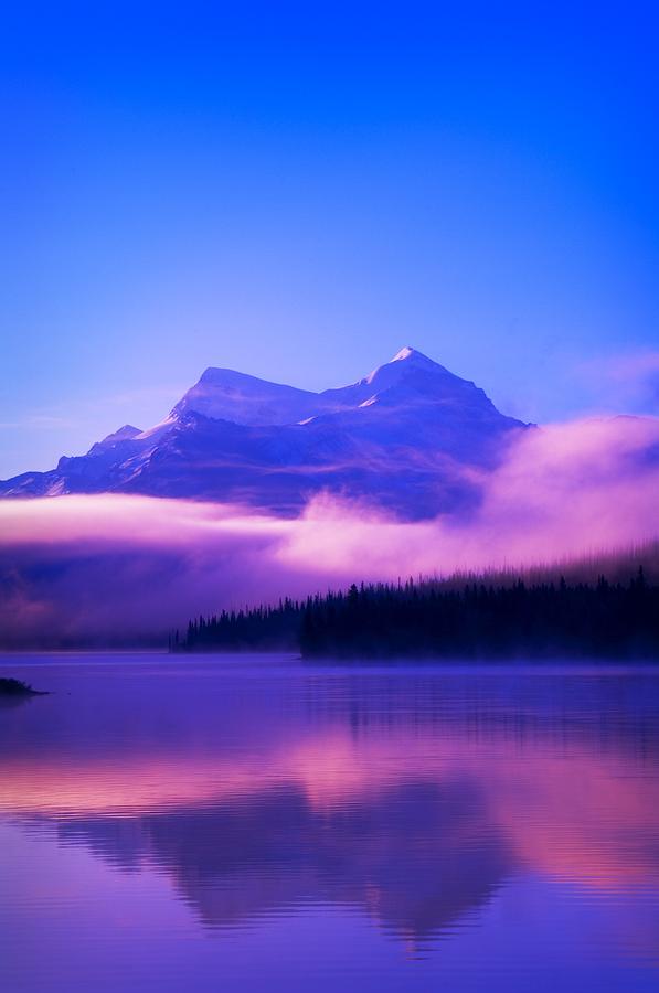 Maligne Lake, Jasper National Park Photograph by Corey Hochachka