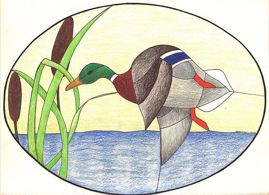 Duck Drawing - Mallard Duck by Wendy McKennon