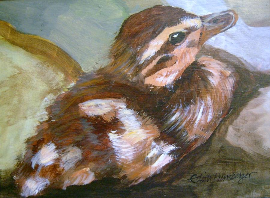 Mallard Duckling Painting by Edith Hunsberger