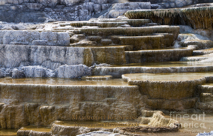 Mammoth Hot Springs Photograph by Larry Keahey