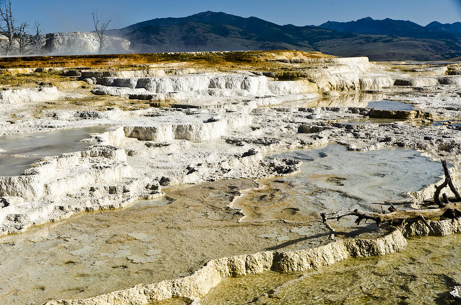 Yellowstone National Park Photograph - Mammoth Hot Springs Terraces by Jon Berghoff
