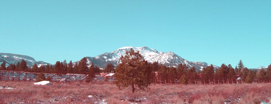 Nature Photograph - Mammoth Mountain by Naxart Studio Nature Photograph - Mammoth Mountain by Naxart Studio