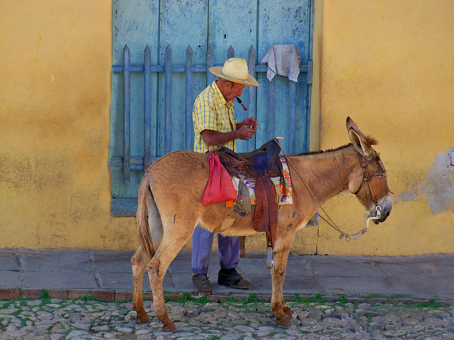 Man and a Donkey Photograph by Lynn Bolt