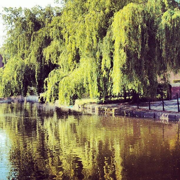 Summer Photograph - #manchestercanal #canal #river by Abdelrahman Alawwad Summer Photograph - #manchestercanal #canal #river by Abdelrahman Alawwad