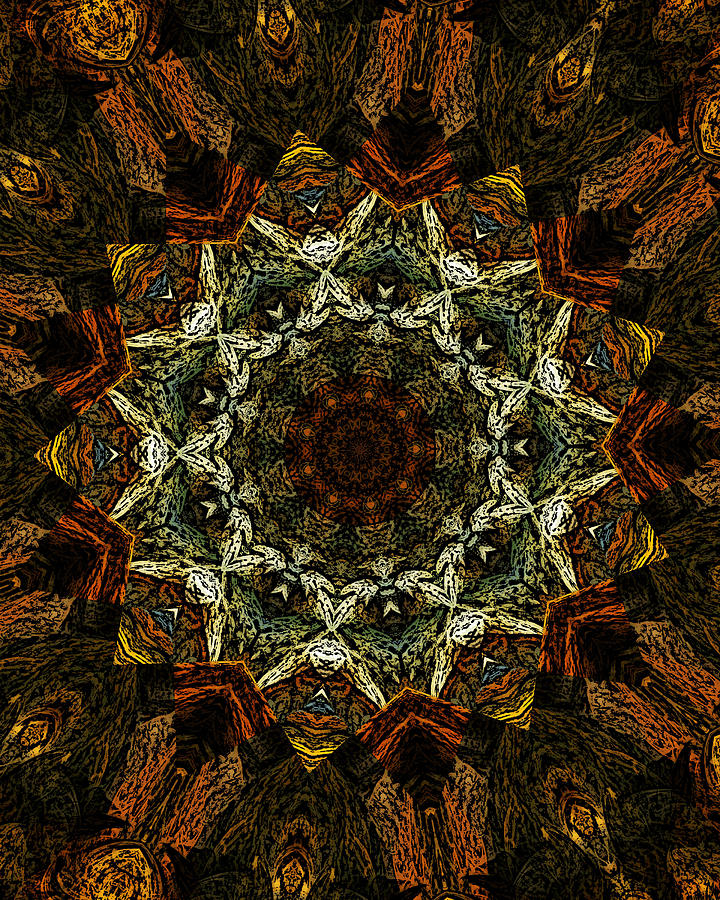 Mandala 111511 Digital Art by David Lane