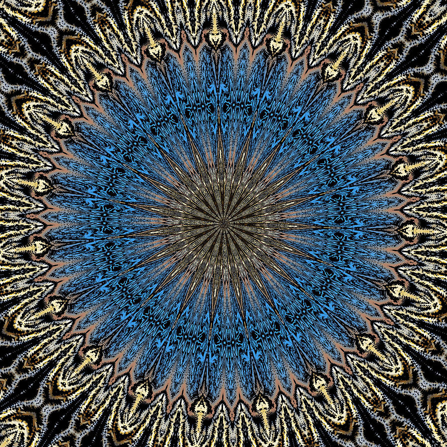 Mandala 111511D Digital Art by David Lane