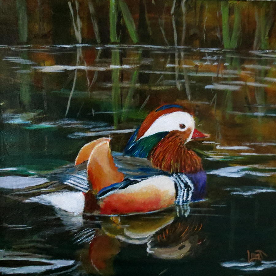 Mandarin Painting by Lana Hart - Fine Art America