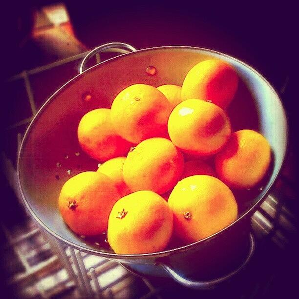 Oranges Photograph - Mandarin #oranges Still Life / by Linandara Linandara