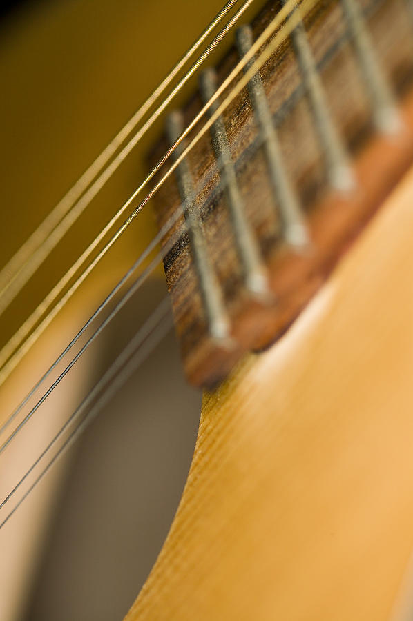 Mandolin Core II Photograph by C Ribet