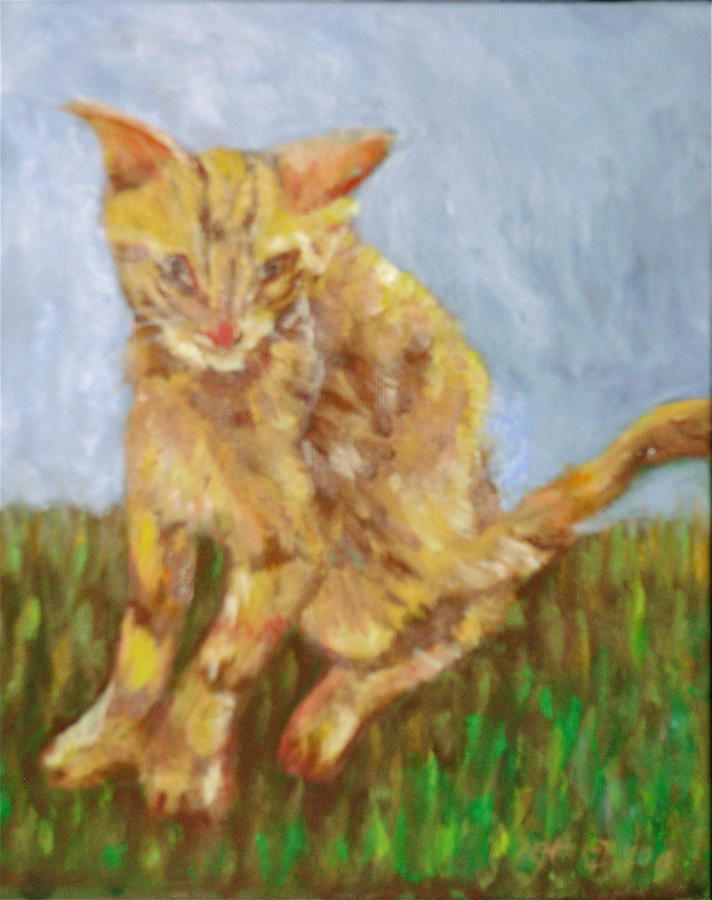 Cat Painting - Mango by Bonnie Wilber