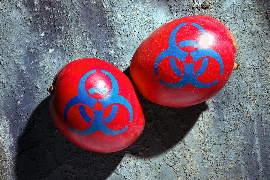 Sign Photograph - Mangoes And Biohazard Symbols by Victor De Schwanberg