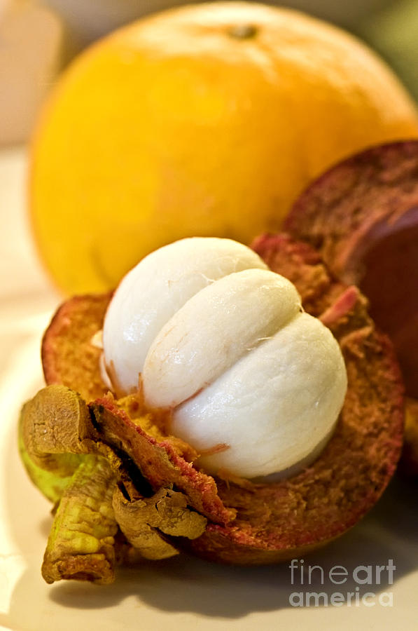 Mangosteen Photograph by Charuhas Images
