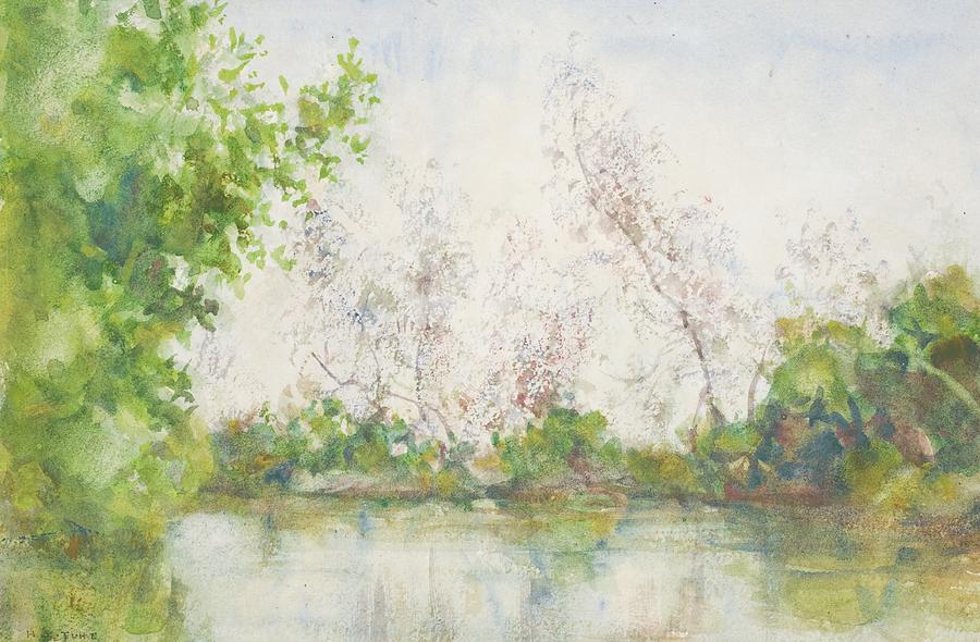 Henry Scott Tuke Painting - Mangrove Swamp by Henry Scott Tuke