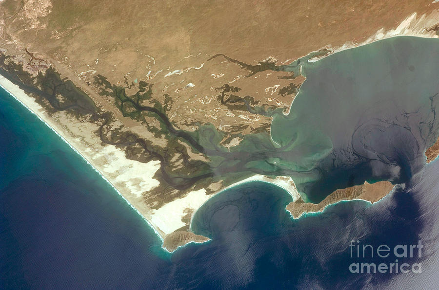 Mangroves, Dunes, And Desert On Baja Photograph by NASA/Science Source
