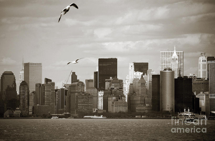 Seagull Photograph - Manhattan over the river by RicardMN Photography