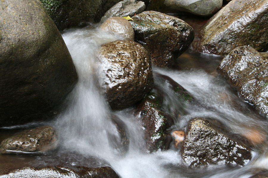 Manoas Rocks and Falls Photograph by Jennifer Bright Burr